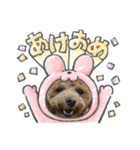 ふゆと＆モンチ＆プチきなこ（個別スタンプ：36）