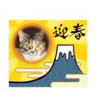 ふゆと＆モンチ＆プチきなこ（個別スタンプ：39）