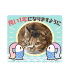 ふゆと＆モンチ＆プチきなこ（個別スタンプ：40）
