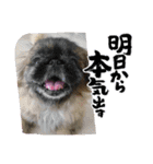 元祖港区男子ひで。。（個別スタンプ：4）