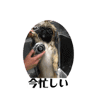 元祖港区男子ひで。。（個別スタンプ：27）
