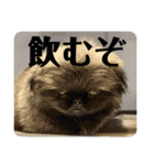 元祖港区男子ひで。。（個別スタンプ：28）