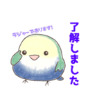 【一年中使える】 こざくらインコのそら（個別スタンプ：19）