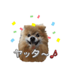 ぽろぞう〜日常スタンプ〜（個別スタンプ：19）