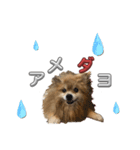 ぽろぞう〜日常スタンプ〜（個別スタンプ：23）
