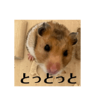 佐賀弁！（個別スタンプ：1）
