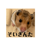 佐賀弁！（個別スタンプ：2）
