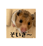 佐賀弁！（個別スタンプ：6）
