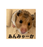 佐賀弁！（個別スタンプ：8）