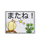 オカメインコのルっちゃん。ゆうゆう。（個別スタンプ：17）