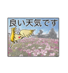 オカメインコのルっちゃん。ゆうゆう。（個別スタンプ：23）