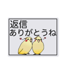 オカメインコのルっちゃん。ゆうゆう。（個別スタンプ：36）