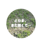 使えるstampかも（個別スタンプ：8）