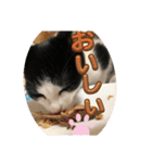 みるくん猫 日常2（個別スタンプ：11）