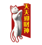 猫の新年の楽しみ超面白い春祭り 1（個別スタンプ：3）