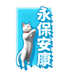 猫の新年の楽しみ超面白い春祭り 1（個別スタンプ：21）