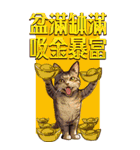 猫の新年の楽しみ超面白い春祭り 1（個別スタンプ：25）