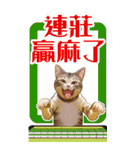 猫の新年の楽しみ超面白い春祭り 1（個別スタンプ：27）