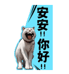 猫の新年の楽しみ超面白い春祭り 1（個別スタンプ：39）