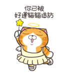 ランラン猫 48 (台湾版)（個別スタンプ：1）