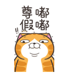 ランラン猫 48 (台湾版)（個別スタンプ：2）