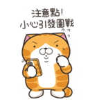ランラン猫 48 (台湾版)（個別スタンプ：5）