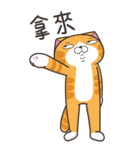 ランラン猫 48 (台湾版)（個別スタンプ：7）