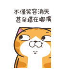 ランラン猫 48 (台湾版)（個別スタンプ：8）