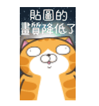 ランラン猫 48 (台湾版)（個別スタンプ：14）
