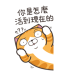ランラン猫 48 (台湾版)（個別スタンプ：16）