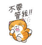 ランラン猫 48 (台湾版)（個別スタンプ：17）