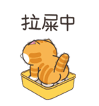 ランラン猫 48 (台湾版)（個別スタンプ：22）
