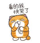 ランラン猫 48 (台湾版)（個別スタンプ：23）