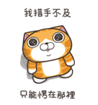 ランラン猫 48 (台湾版)（個別スタンプ：27）