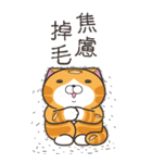 ランラン猫 48 (台湾版)（個別スタンプ：29）