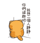 ランラン猫 48 (台湾版)（個別スタンプ：33）