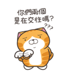 ランラン猫 48 (台湾版)（個別スタンプ：34）