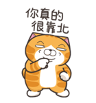 ランラン猫 48 (台湾版)（個別スタンプ：35）
