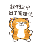 ランラン猫 48 (台湾版)（個別スタンプ：36）