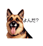 ドット絵 ジャーマン シェパード 40種（個別スタンプ：36）