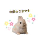 ネザーのみるくちゃん（個別スタンプ：1）