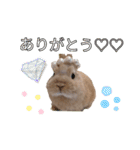 ネザーのみるくちゃん（個別スタンプ：2）