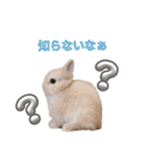 ネザーのみるくちゃん（個別スタンプ：4）