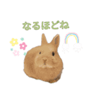 ネザーのみるくちゃん（個別スタンプ：7）