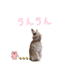 ネザーのみるくちゃん（個別スタンプ：8）
