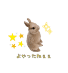 ネザーのみるくちゃん（個別スタンプ：9）