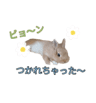 ネザーのみるくちゃん（個別スタンプ：14）