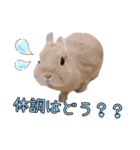 ネザーのみるくちゃん（個別スタンプ：15）