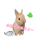 ネザーのみるくちゃん（個別スタンプ：16）