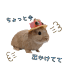 ネザーのみるくちゃん（個別スタンプ：17）